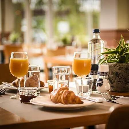 Campanile & Restaurant 3* Влардинген